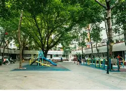 社区盾杯决赛直播2024 社区盾杯决赛直播2024